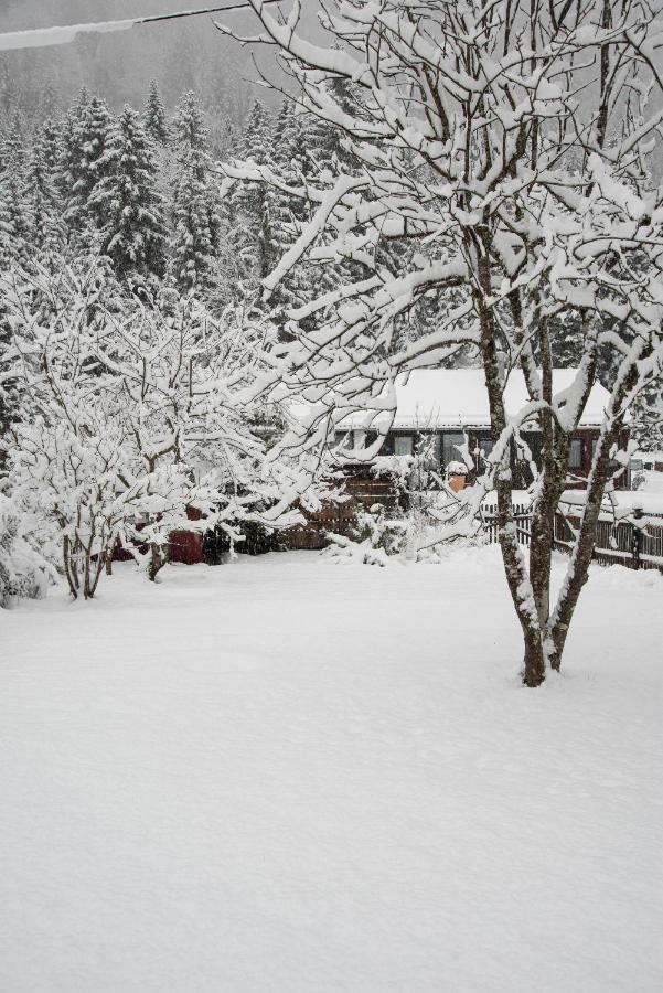 Gipfelkoenig Apartment Bayrischzell Bagian luar foto